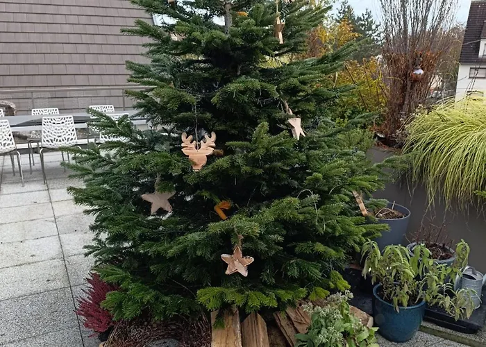 منزل للإقامة Avec Jacuzzi Exterieur ستراسبورغ