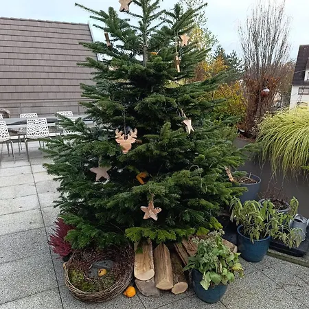 Séjour chez l'habitant Avec Jacuzzi Extérieur Strasbourg